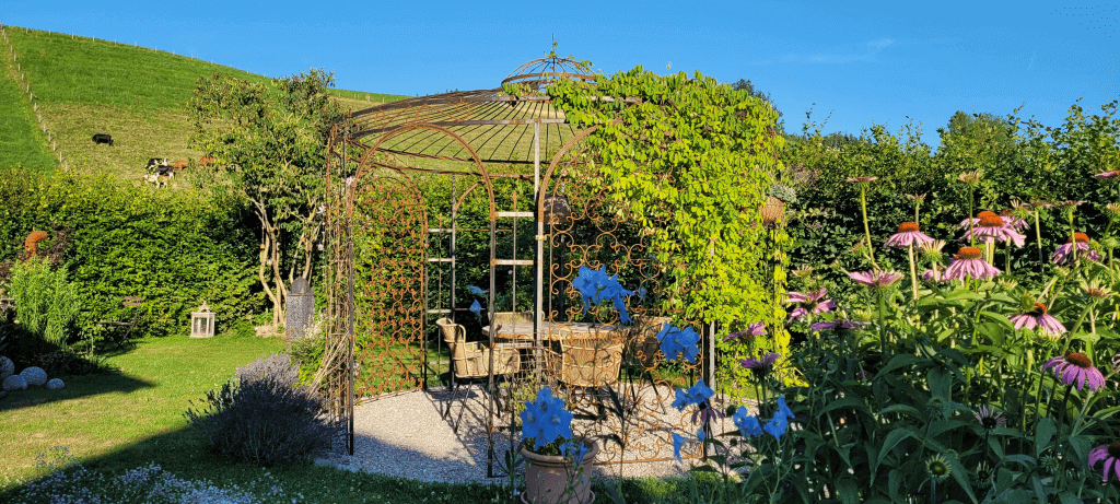 Pavillon Florenz unbeschichtet mit Rankgitter Rose in einem Garten
