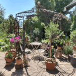 Pavillon Milano unbeschichtet mit Messingkugel und Rankgitter Rosa in Garten