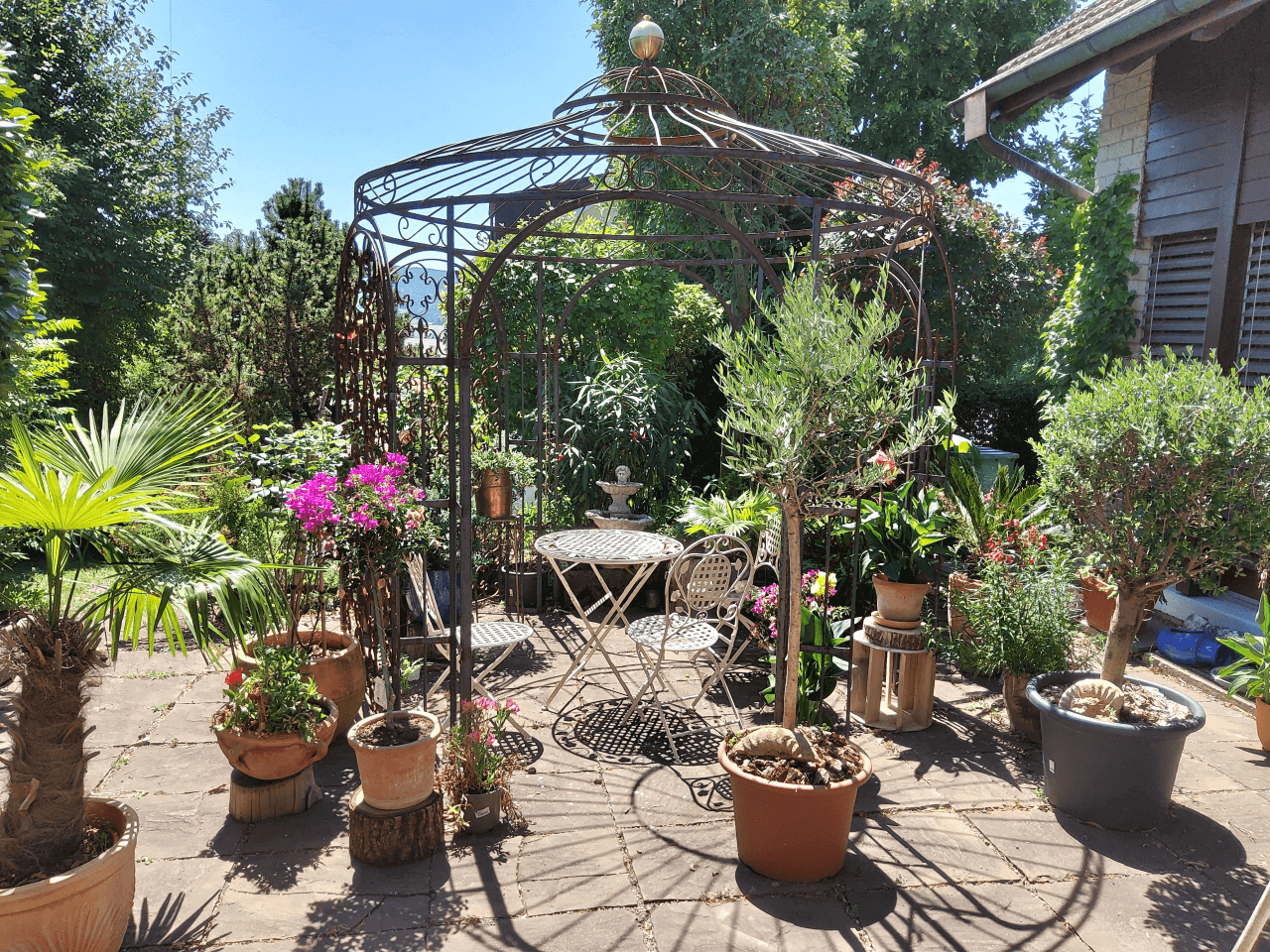 Pavillon Milano unbeschichtet mit Messingkugel und Rankgitter Rosa in Garten
