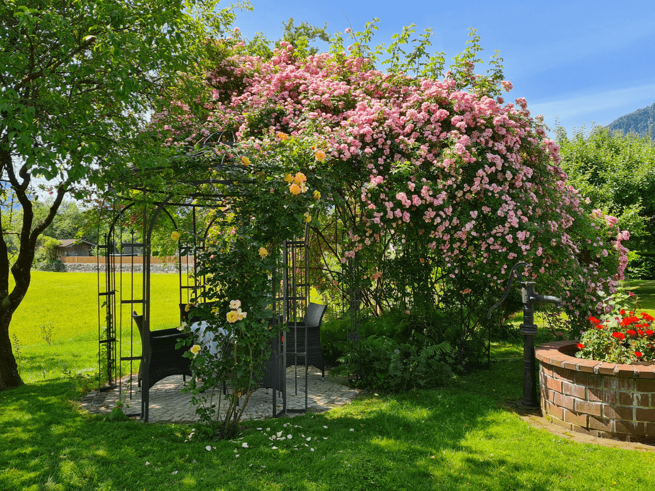 Rankpavillon Milano in einem Garten
